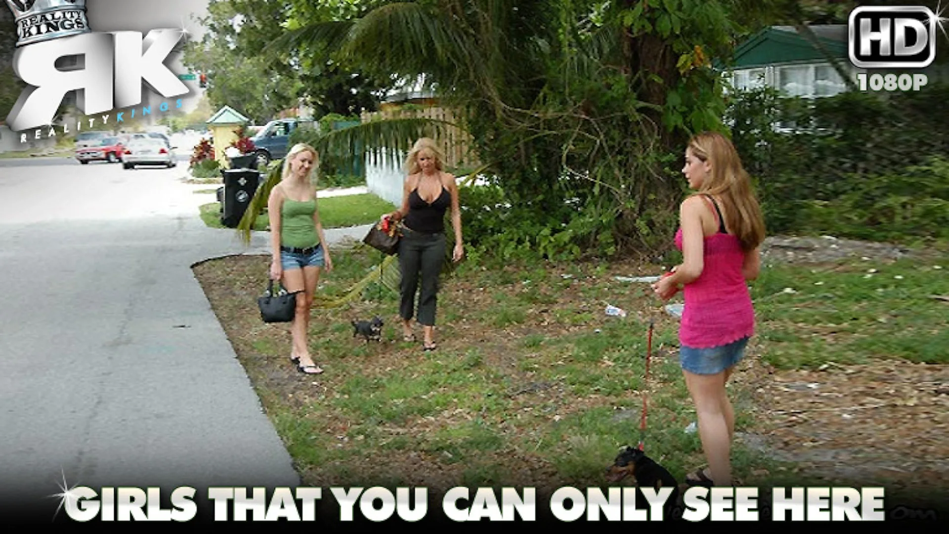 Neighborhood Watch - We Live Together - 57313