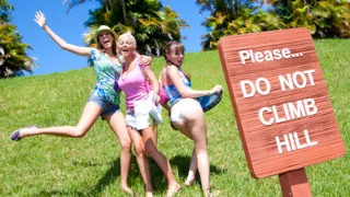 Munching Around in the Zoo - Power Munch - 79436