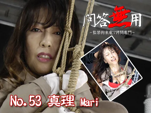 [4005-053] Mari Akiyama - HeyDouga - 378264