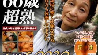 [4002-PPV-PLA0013] Tomi Kitajima - HeyDouga - 379465