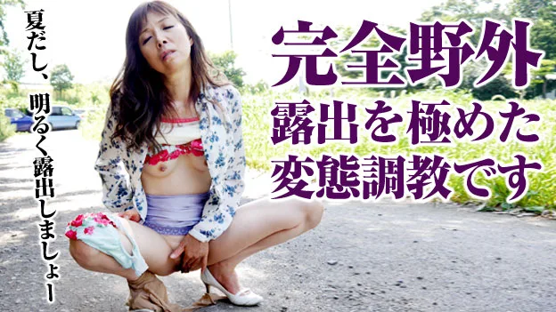 [3004-PPV-080715-467] Ai Aoyama - HeyDouga - 432300