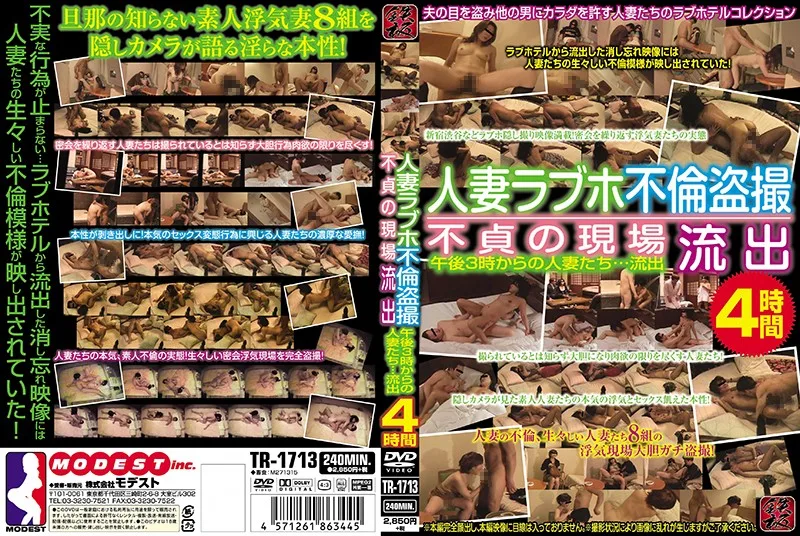 [TR-1713] Peeping On Married Woman Love Hotel Adultery The Immoral Scene Of The Crime 4 Hours - R18 - 665724