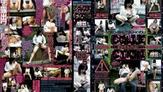 [SAN-171] Exhibitionist Insanity Collection - R18 - 783265