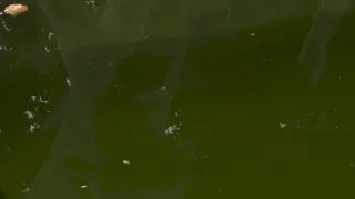 Spying on her Rack - BustyWorld - 28368