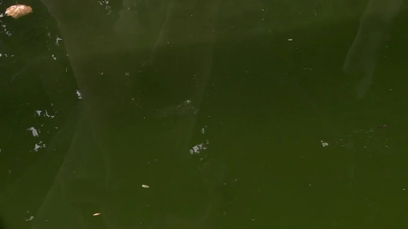 Spying on her Rack - BustyWorld - 28368