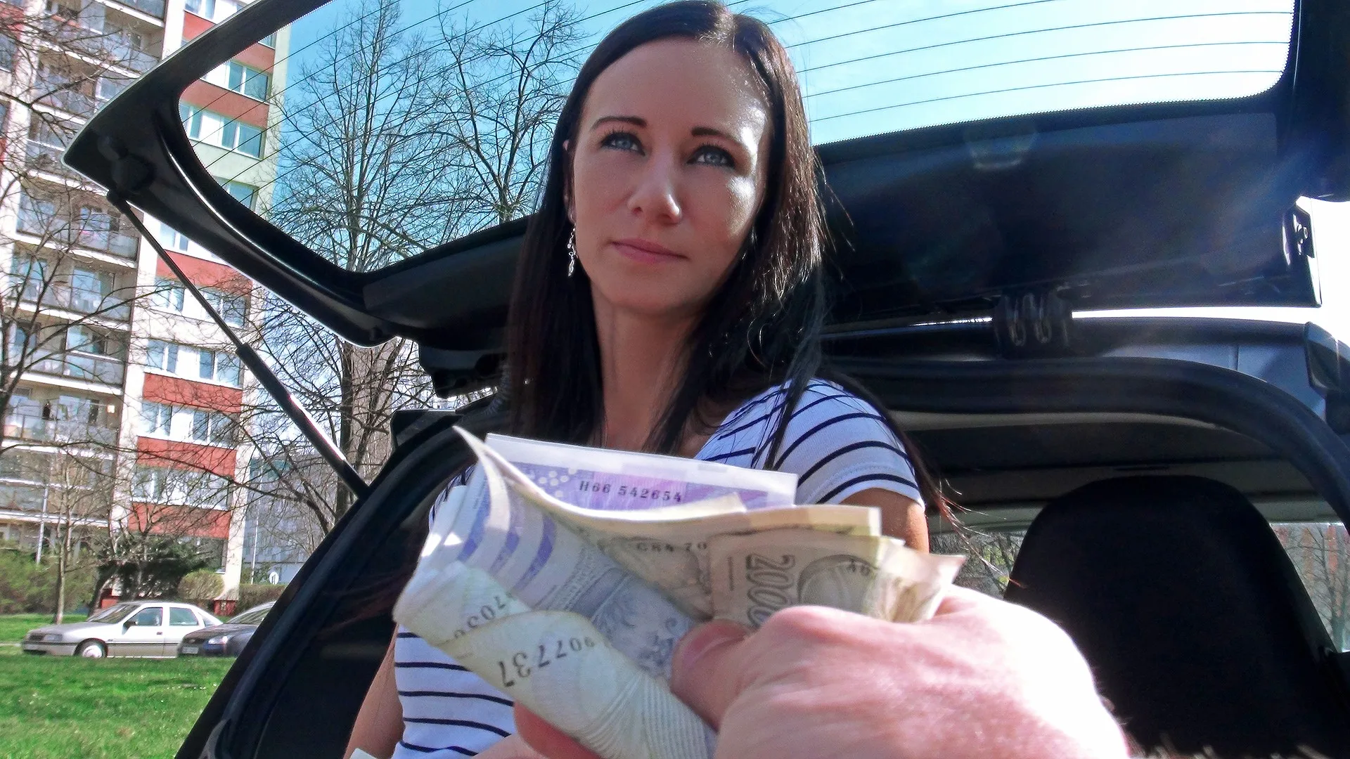 Pounding the Pizza Delivery Girl - Public Pickups - 12233