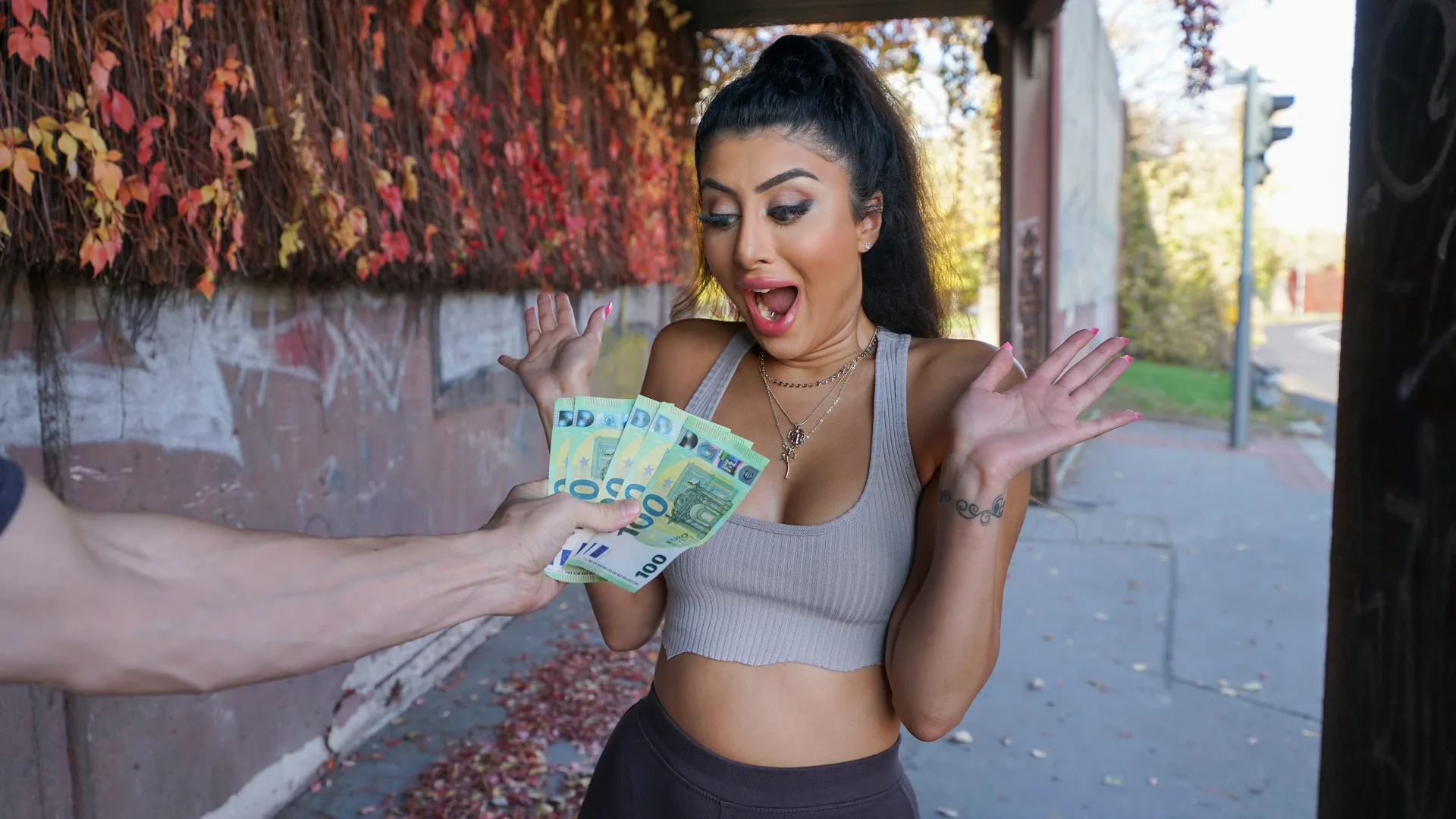 Indian babe fucked in basement - Public Agent - 15161