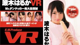 [EXVR-032] [VR] Mr. Dandy Makes Cum Face With A Single Shot Haruka Namiki - R18 - 652