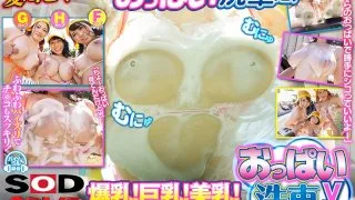 [3DSVR-0494] [VR] [Titty Car Wash VR] I Went To A Certain Gas Station Where A Girl With Colossal Tits In A Bikini Washed My Car And My Dick! - R18 - 11282