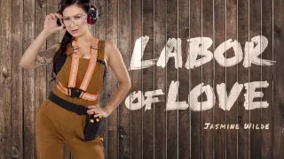 [2022-12-20] Labor of Love - BaDoinkVR - 41493