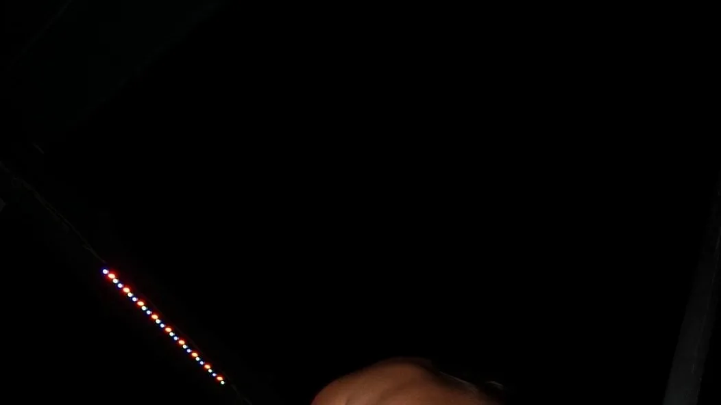 Party Frolics #2 - Real Girls Gone Bad - 6939