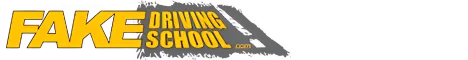fake-driving-school