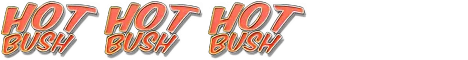 hot-bush
