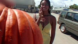 A taste of Jade's Pumpkin Tits - Bang Bus - 406089