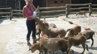 Fun with Kathia: in the zoo - 21Sextury - 12647