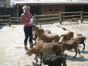 Fun with Kathia: in the zoo - 21Sextury - 12647