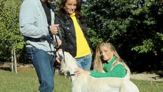 Best pick-up trick - 21Sextury - 16612