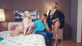 Fake Family: Stuck In A Tent - Fakehub Originals - 54061