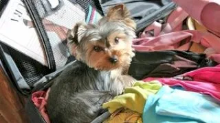 Backstage with Bambi and Peaches - 21Sextury - 6097