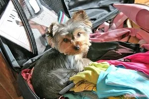 Backstage with Bambi and Peaches - 21Sextury - 6097