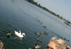 Duck Duck Fuck - PornPros - 64105