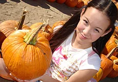 Pumpkin Patch Pussy - PornPros - 64730