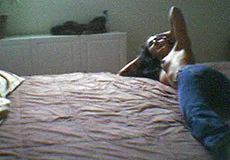 Young, Dumb And Full Of Cheating Cum - PornPros - 64888