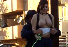 PV003 - PornPros - 65800