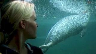 In the Zoo - 21Sextury - 7163