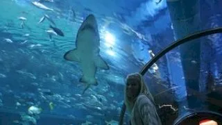 In the Tropicarium - 21Sextury - 7703