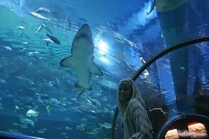 In the Tropicarium - 21Sextury - 7703