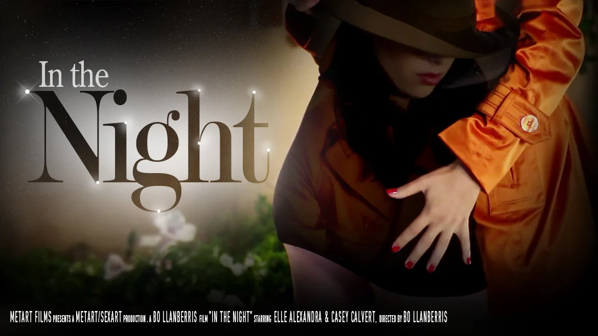 [10/11/2012] - In The Night - SEXART - 86827