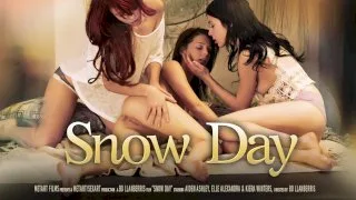 [02/16/2013] - Snow Day - SEXART - 86901