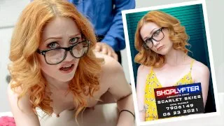 Case No. 7906149 - Nerdy Criminal - Shoplyfter - 90755