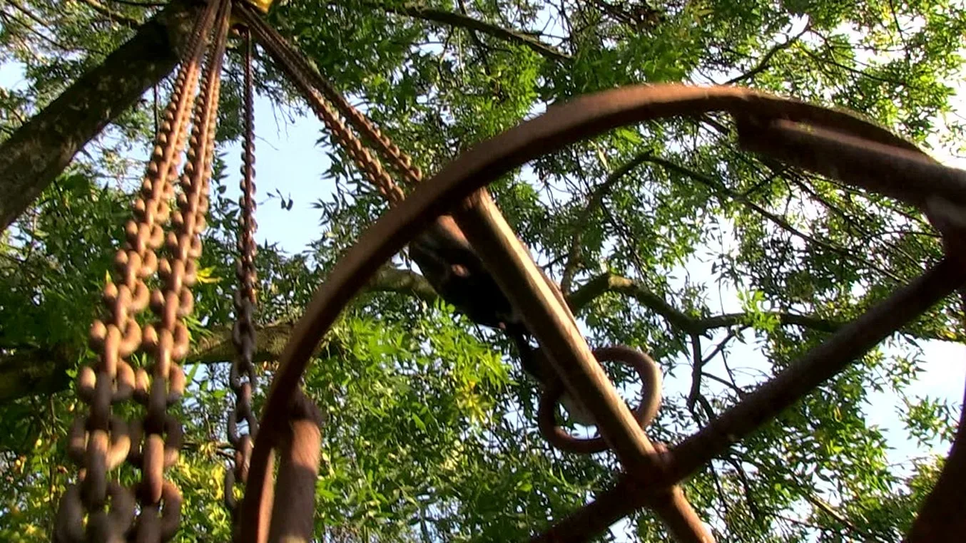 Girl in the Cage - PornWorld - 108970