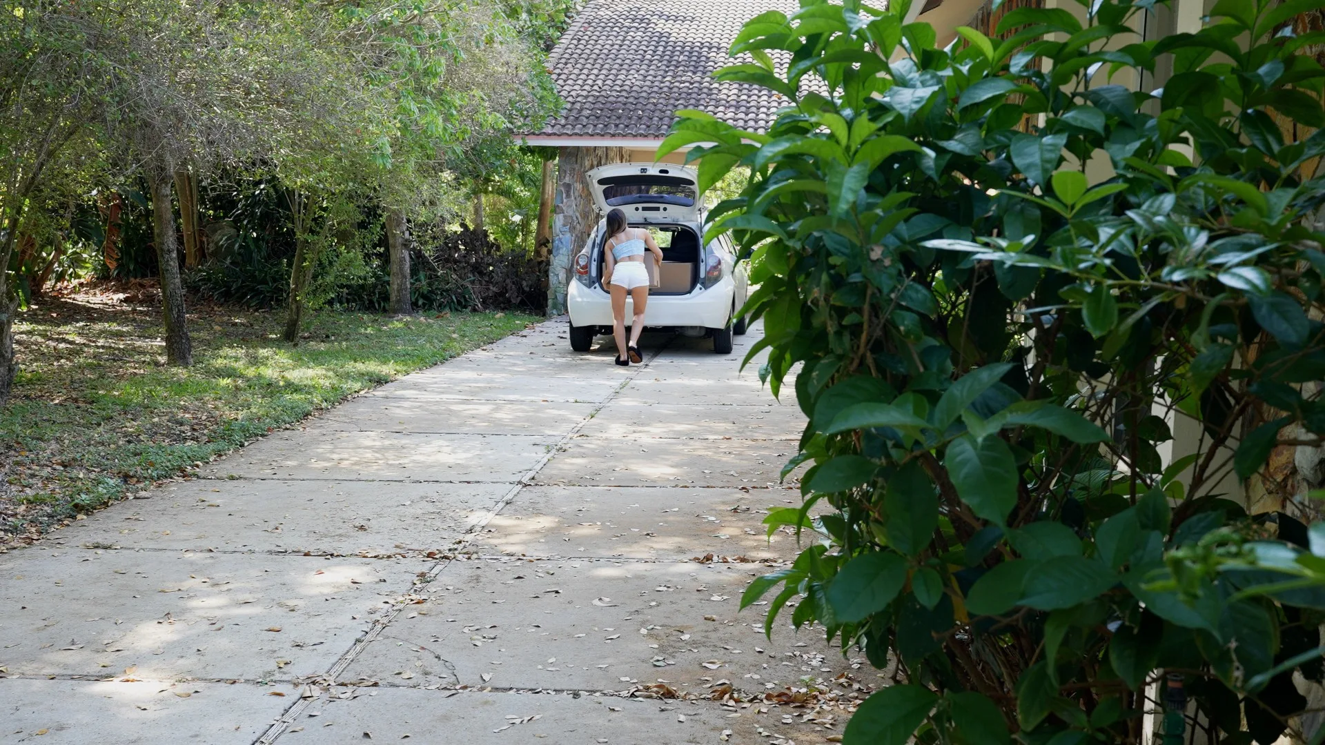 Moving Day - Sex Selector - 145870