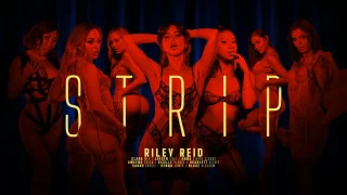 Strip - Life Selector - 1121235