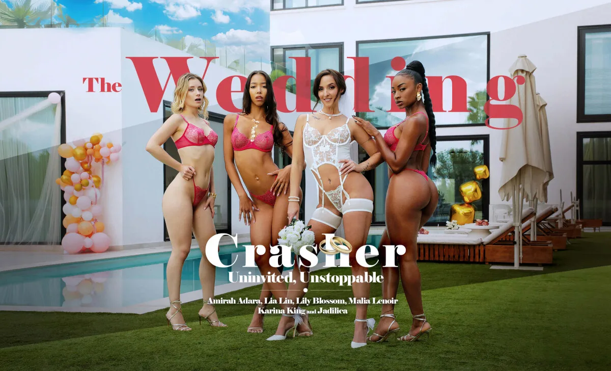 The Wedding Crasher - Uninvited, Unstoppable - Life Selector - 1139055