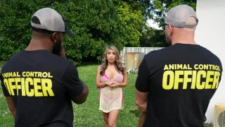 Gator Patrol - RK Prime - 1142625